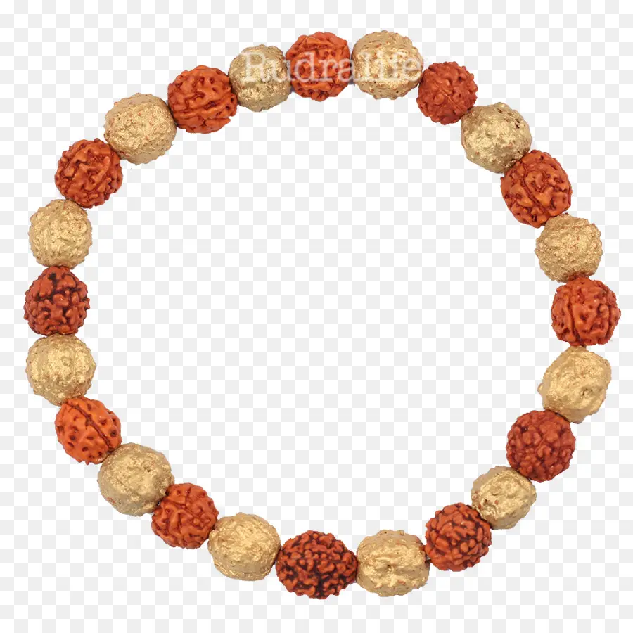 Bracelet De Perles，Rudraksha PNG