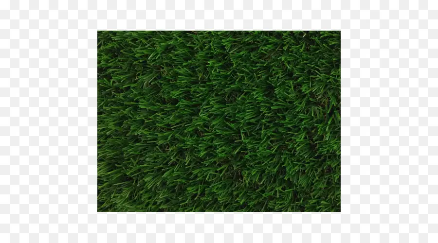 Herbe，Vert PNG