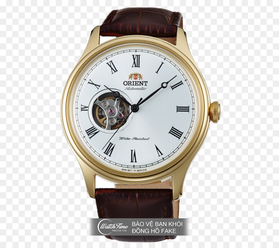 Amazoncom，Montre Orient PNG