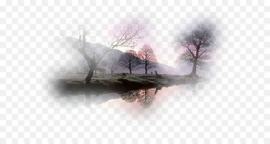 Paysage，Arbres PNG