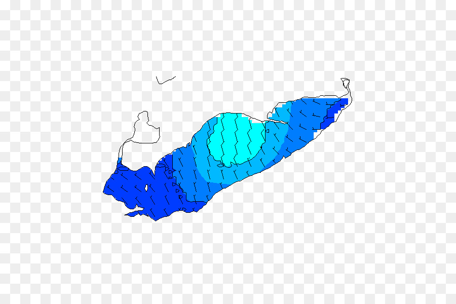 Les Mammifères Marins，Turquoise PNG