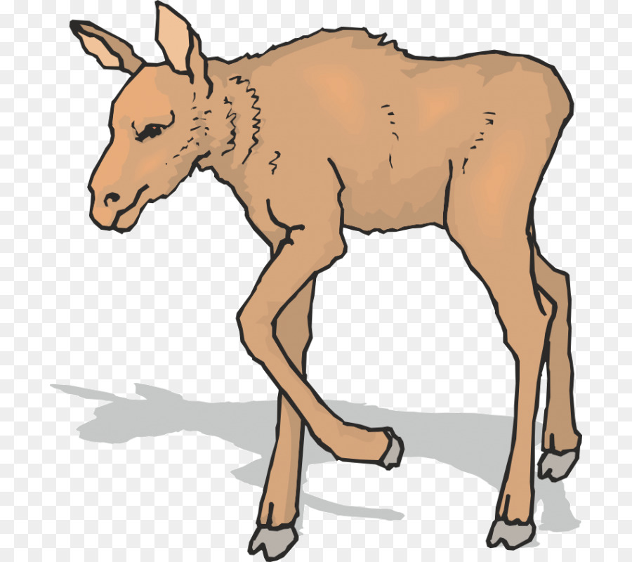 Mule，Elk PNG