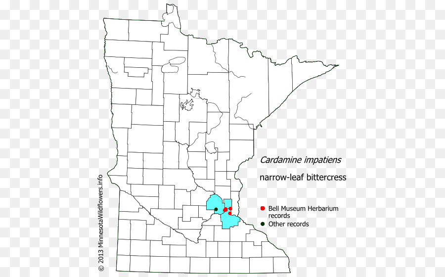 Freeborn Comté Du Minnesota，Douglas County Minnesota PNG