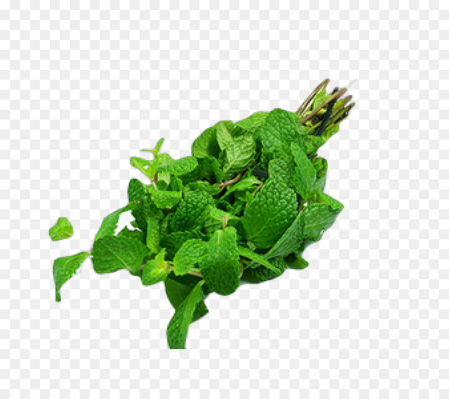 La Menthe Poivrée，Spicata De Menthe PNG