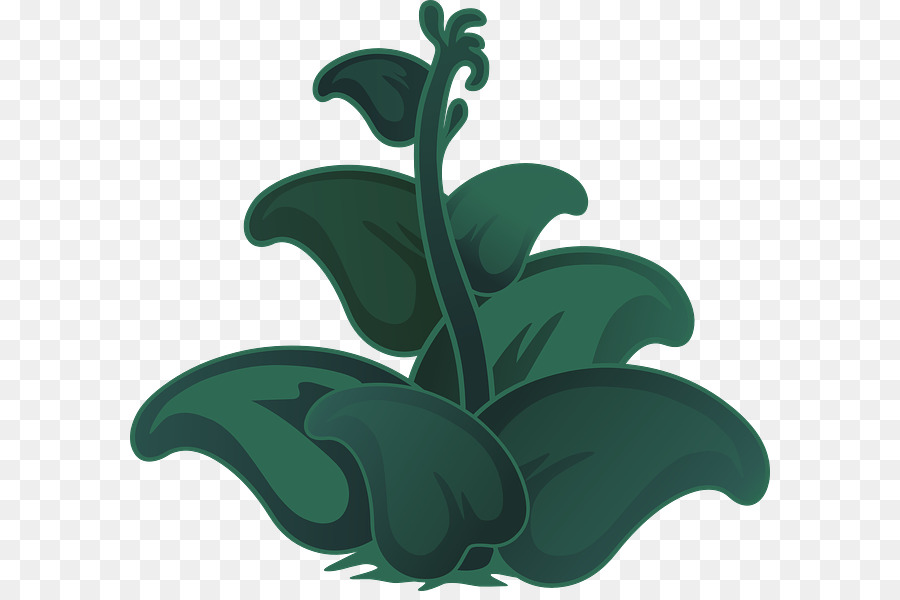 Plante Verte，Feuille PNG