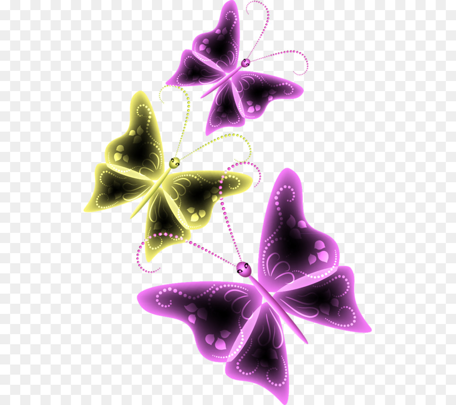 Papillon，Les Insectes PNG