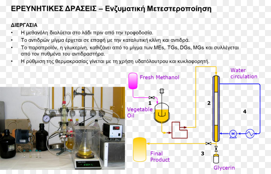 Le Biodiesel，Processus PNG