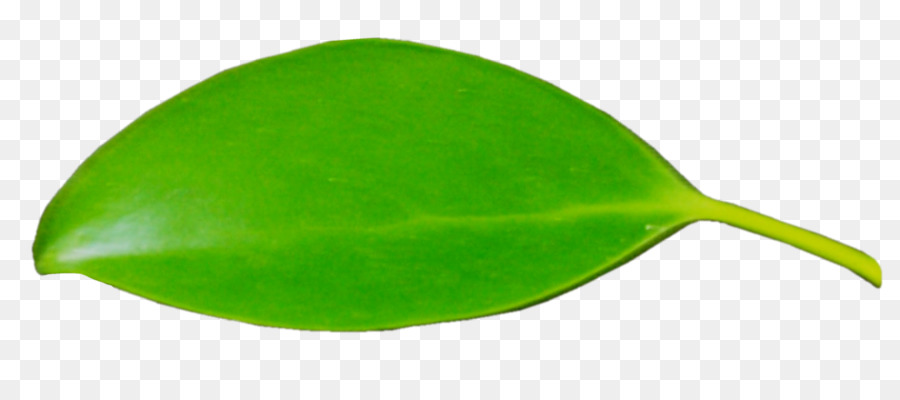 Feuille Verte，Nature PNG