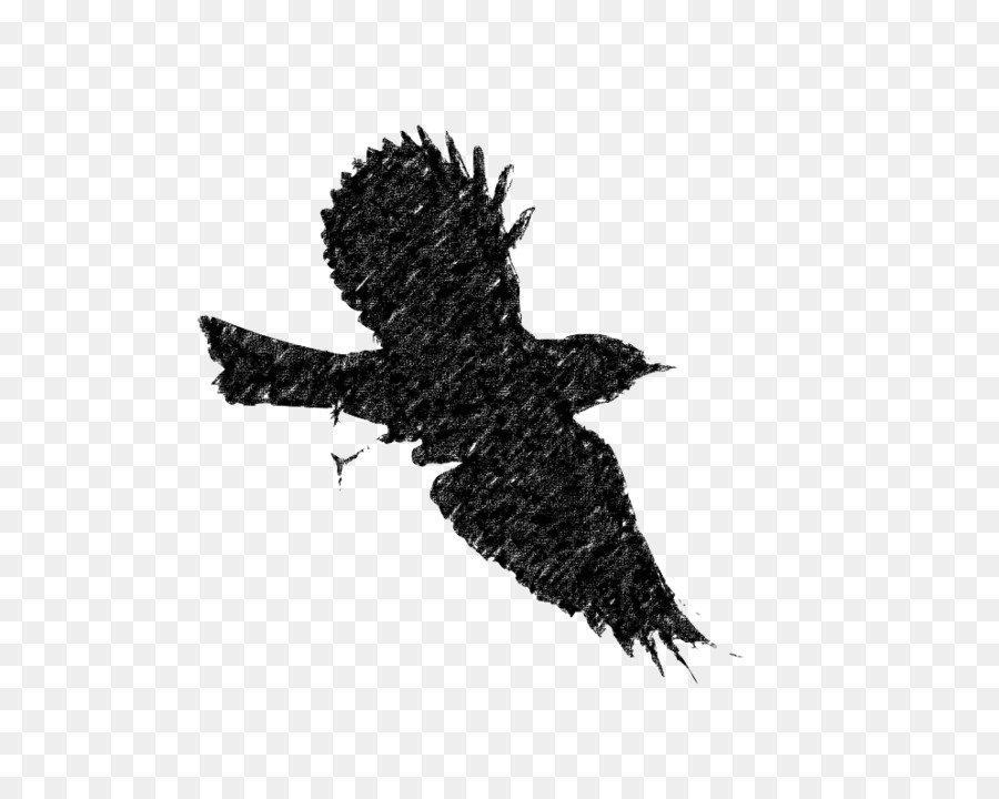 Oiseau Noir，Vol PNG