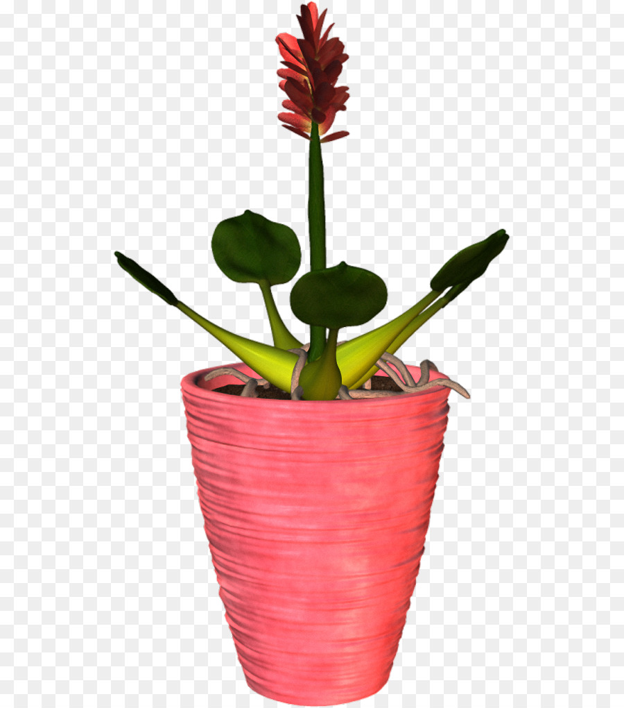 Fleur，Pot De Fleur PNG