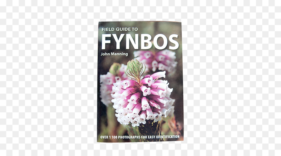 Fynbos，Guide De Terrain Pour Les Fynbos PNG