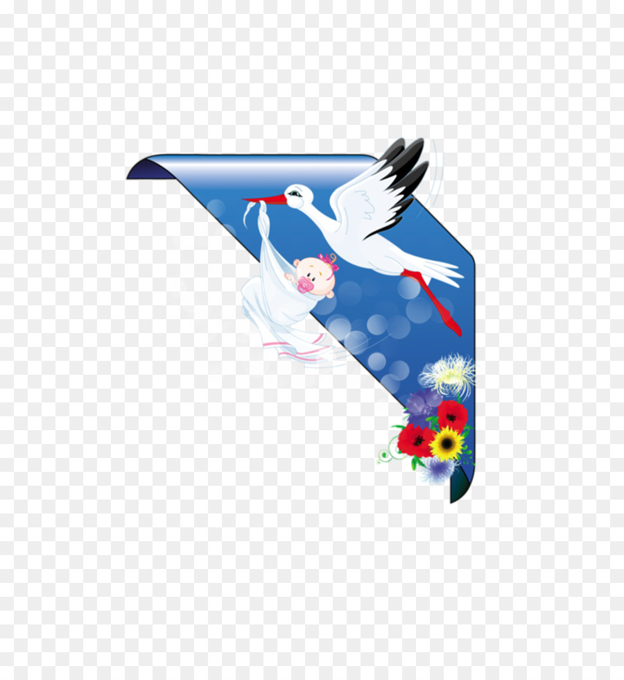 Oiseau，Avaler PNG