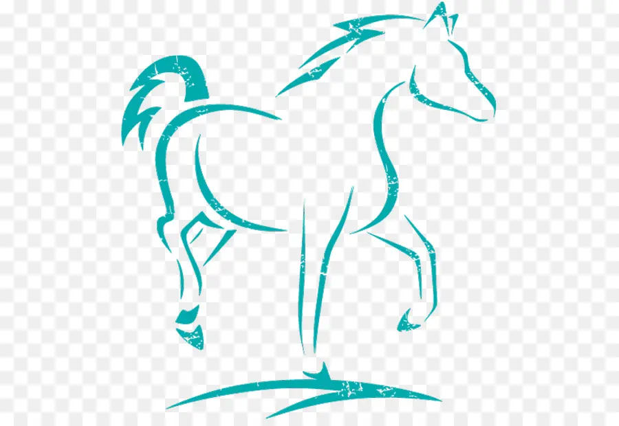 Cheval，Contour PNG