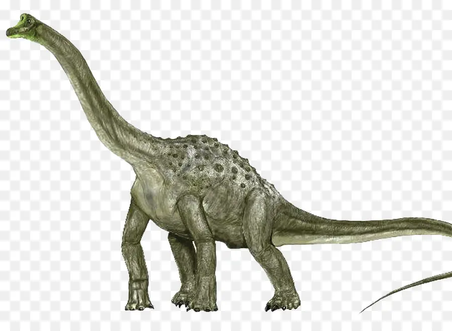 Dinosaure，Préhistorique PNG