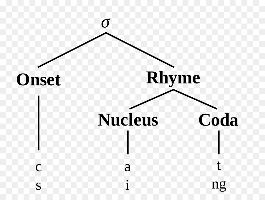 Arbre Phonologique，Linguistique PNG