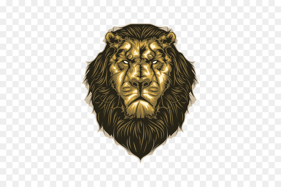 Lion，Crinière PNG