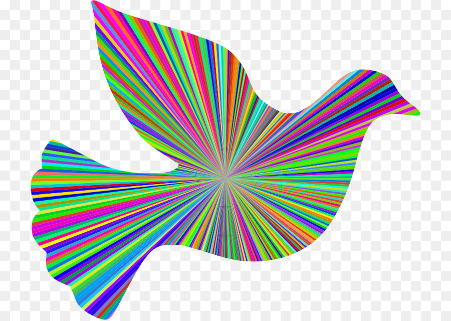 Oiseau Coloré，Arc En Ciel PNG