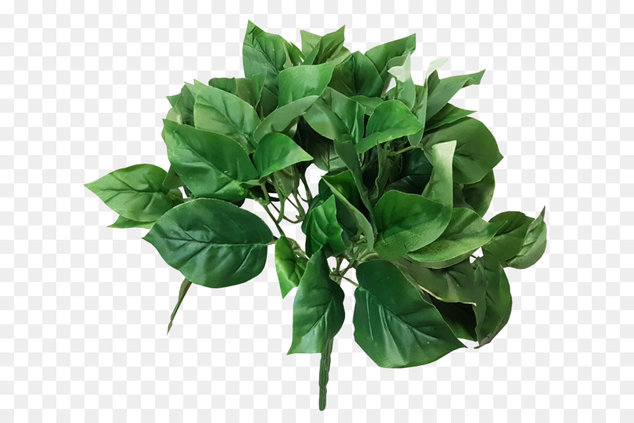 Vert，Jmc Floral PNG