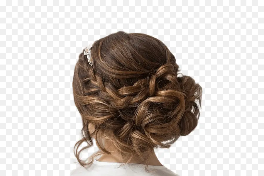 Cheveux Tressés，Chignon PNG