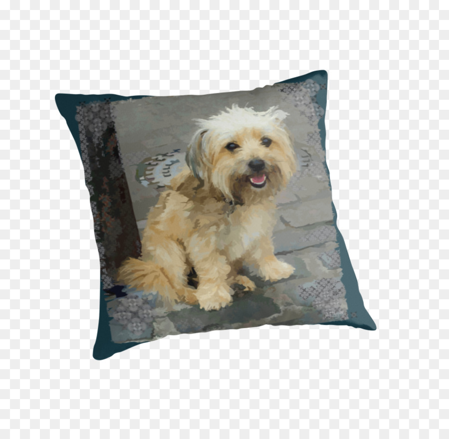 Terrier Tibétain，Morkie PNG