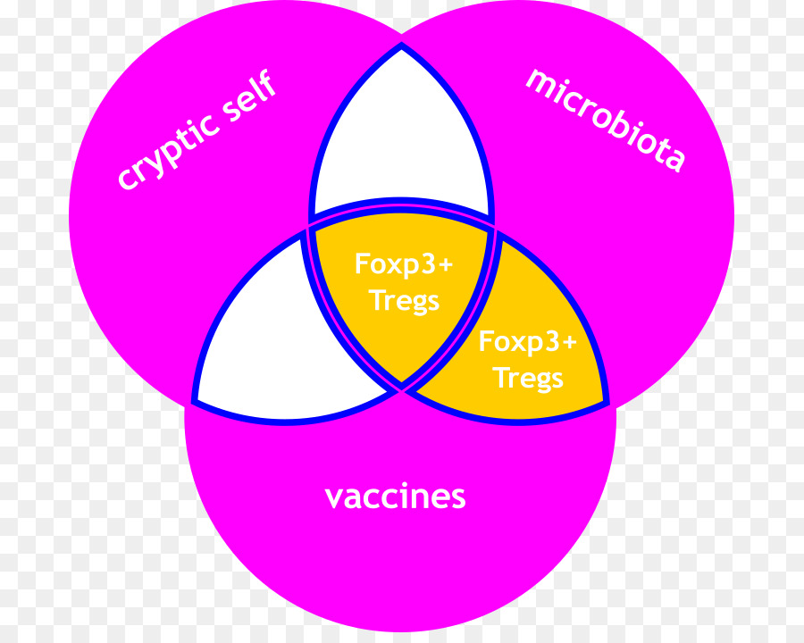 L Auto Immunité，L Antigène PNG