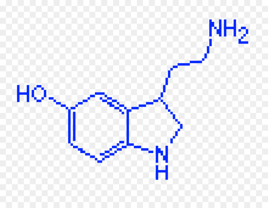 La Sérotonine，La Dopamine PNG