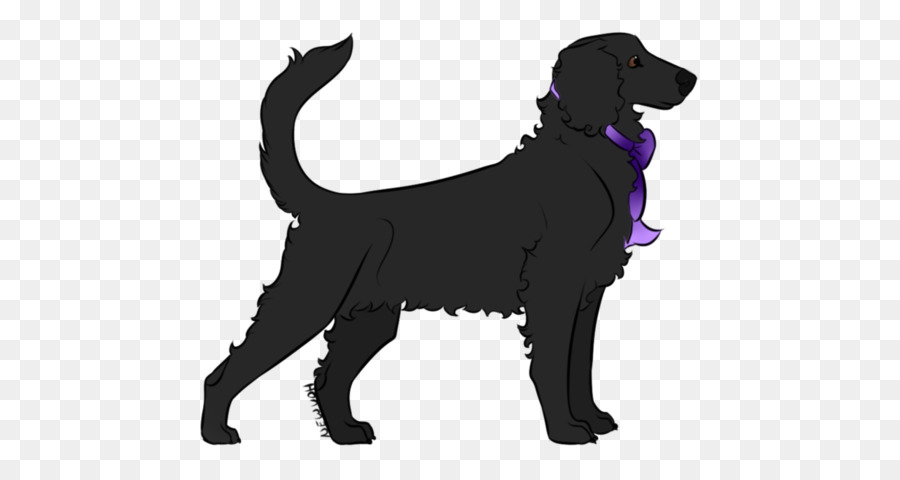 Le Labrador Retriever，Flatcoated Retriever PNG