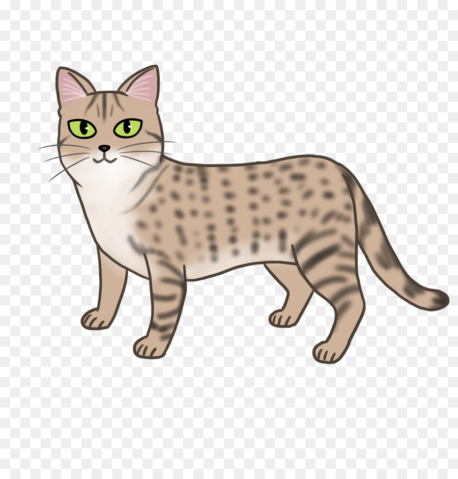 Chat Tacheté，Félin PNG