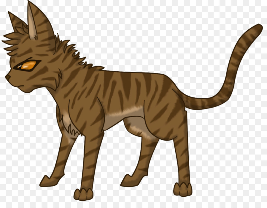 Chat，Animal De Compagnie PNG