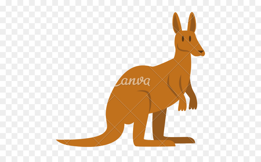 Kangourou，Renard Rouge PNG