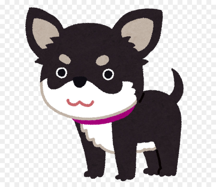 Chihuahua，Caniche PNG