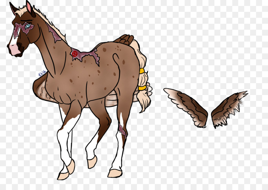 Chevaux，Poulain PNG