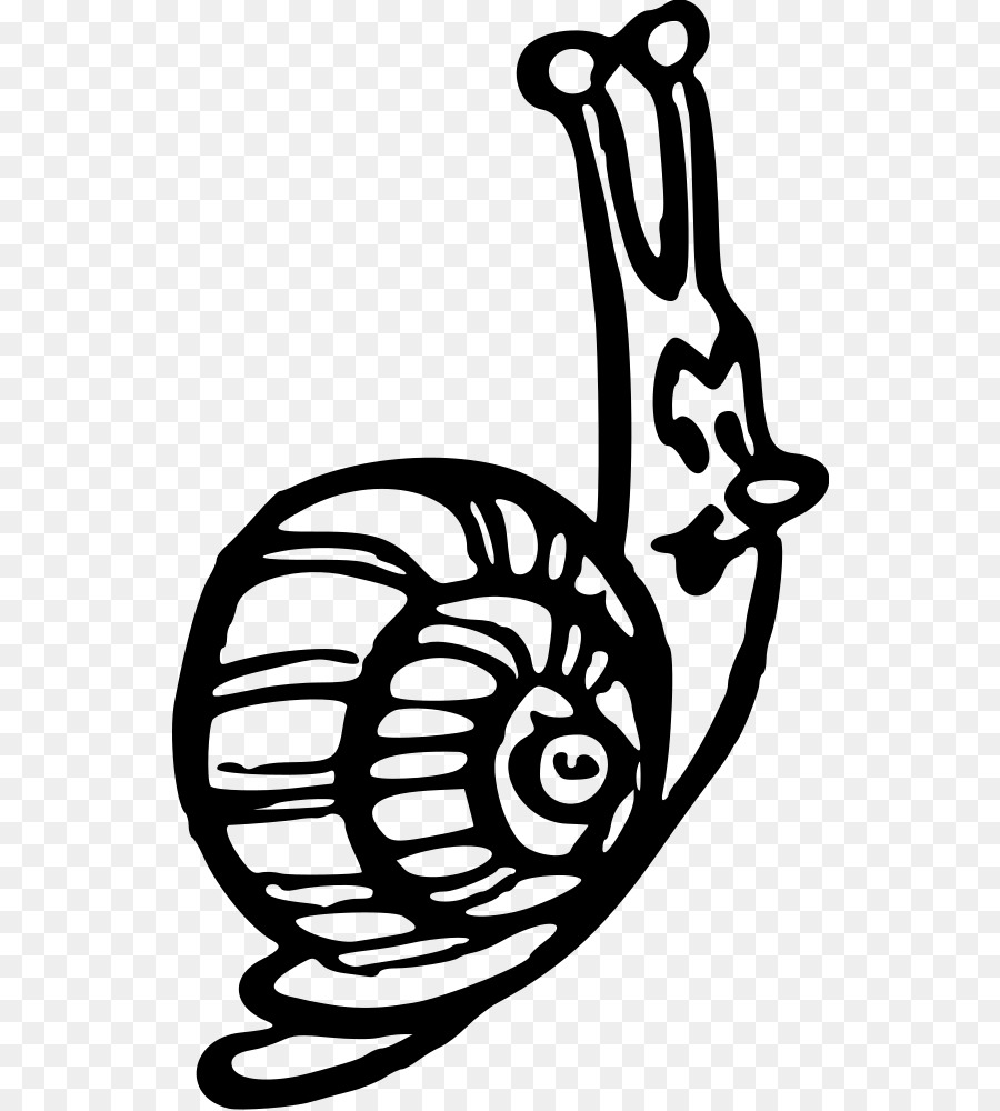 Escargot，Gastéropodes Shell PNG