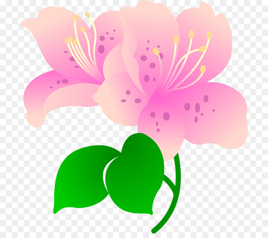 Fleur，Arbre PNG