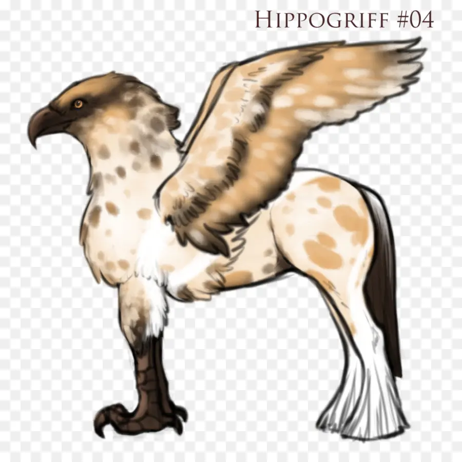 Hippogriffe，Ailes PNG