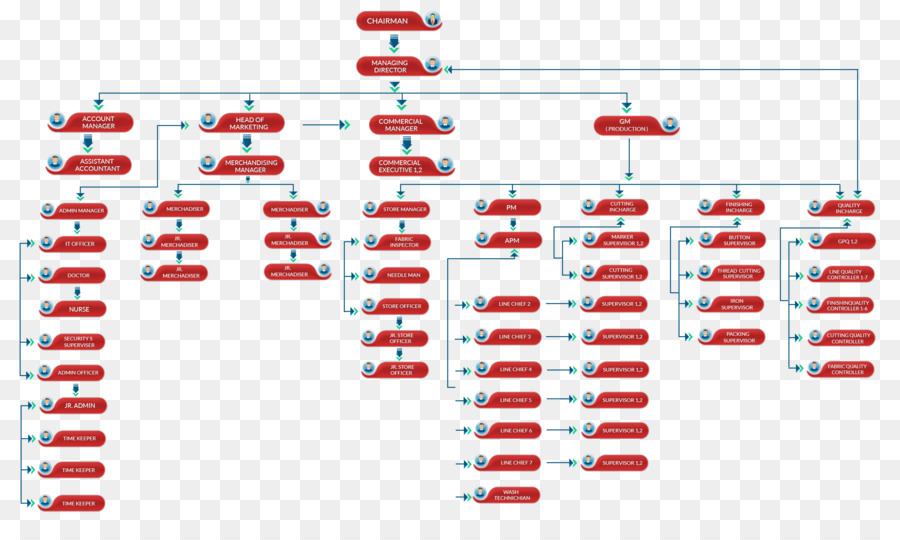 Organigramme，Processus PNG