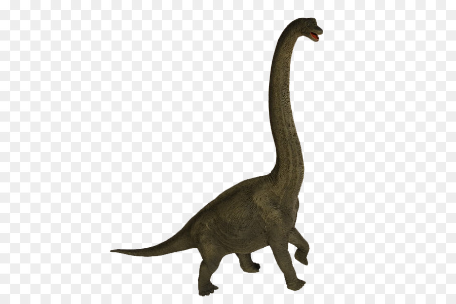 Velociraptor，Cygnini PNG