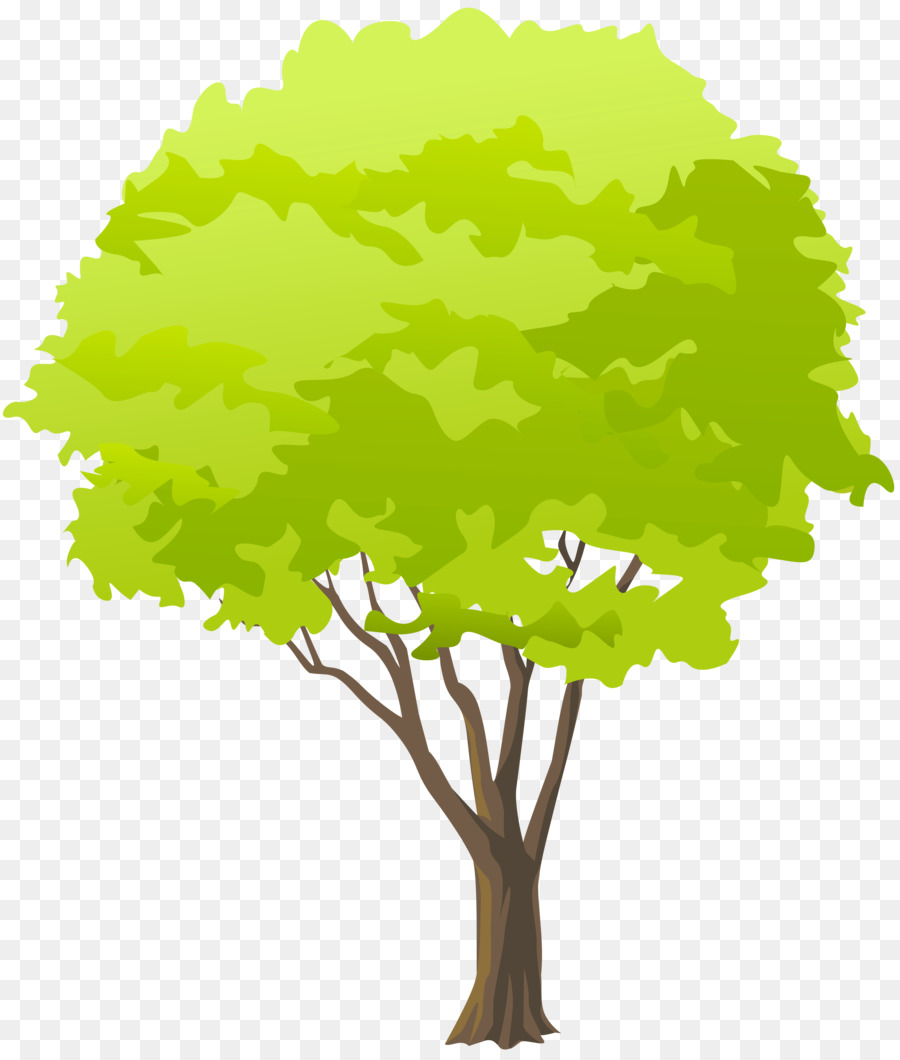 Arbre，Vert PNG