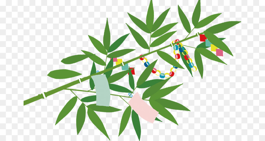 Tanabata，Israël PNG