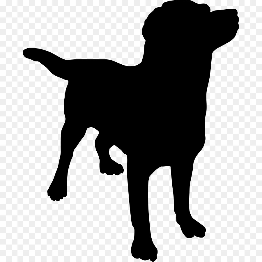 Le Labrador Retriever，Chiot PNG