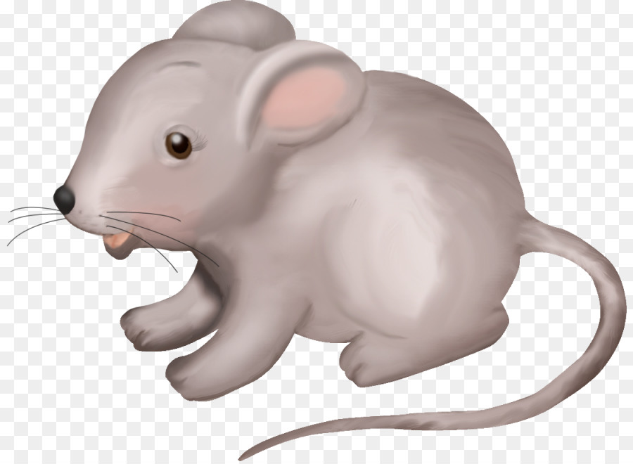 Souris De Dessin Animé，Animal PNG