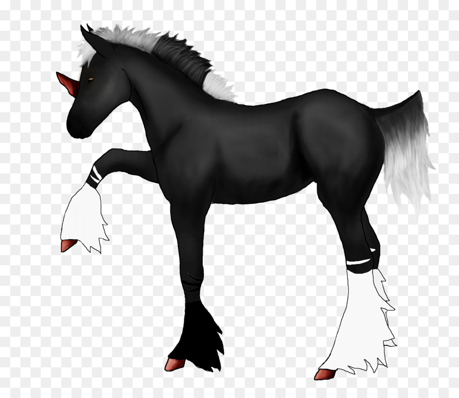 Cheval，équidé PNG