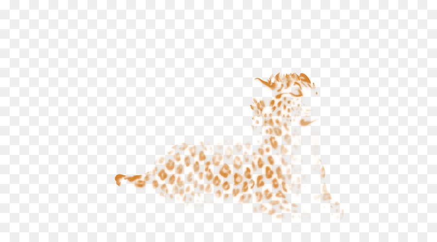 Girafe，Leopard PNG