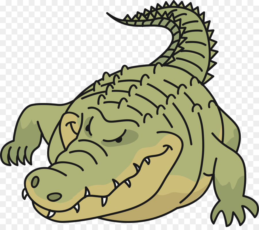 Crocodile，Les Crocodiles PNG