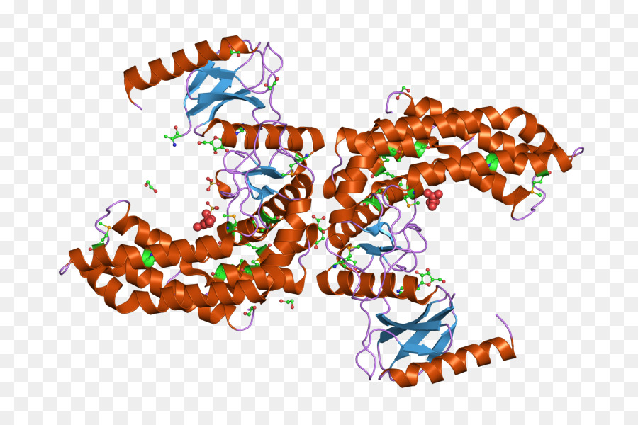 Structure Des Protéines，Molécule PNG