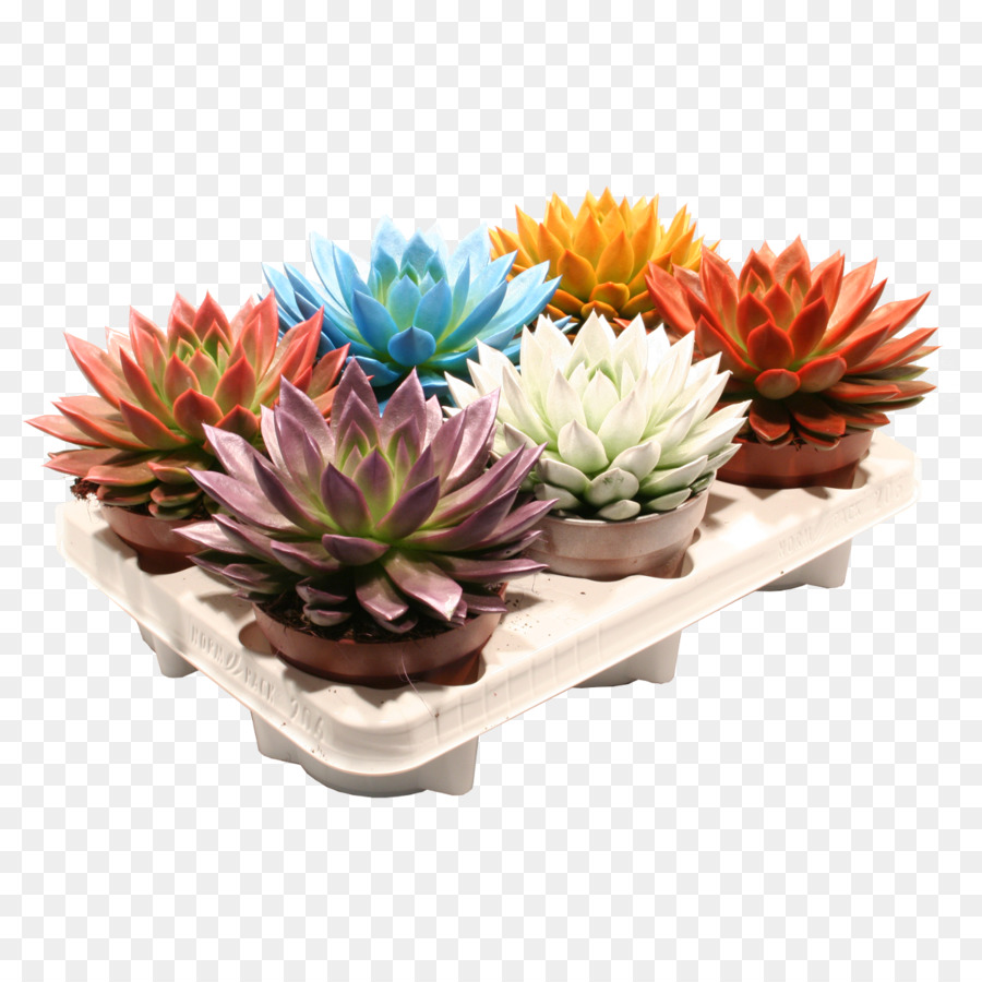 Les Fleurs Coupées，Flowerpot PNG