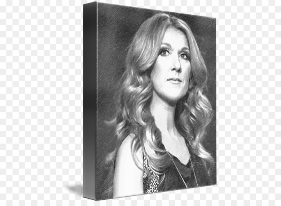 Céline Dion，Cadres Photo PNG