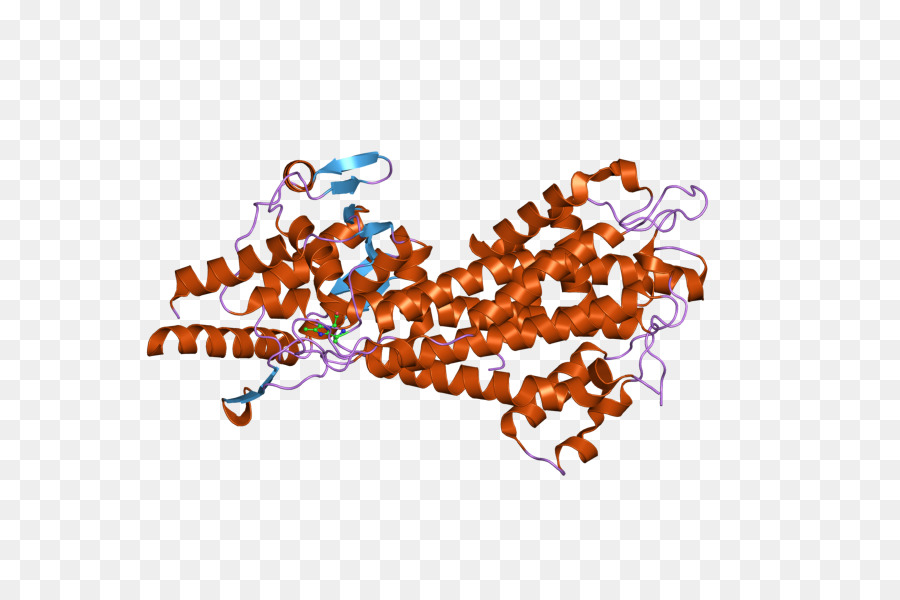 Structure Des Protéines，Molécule PNG