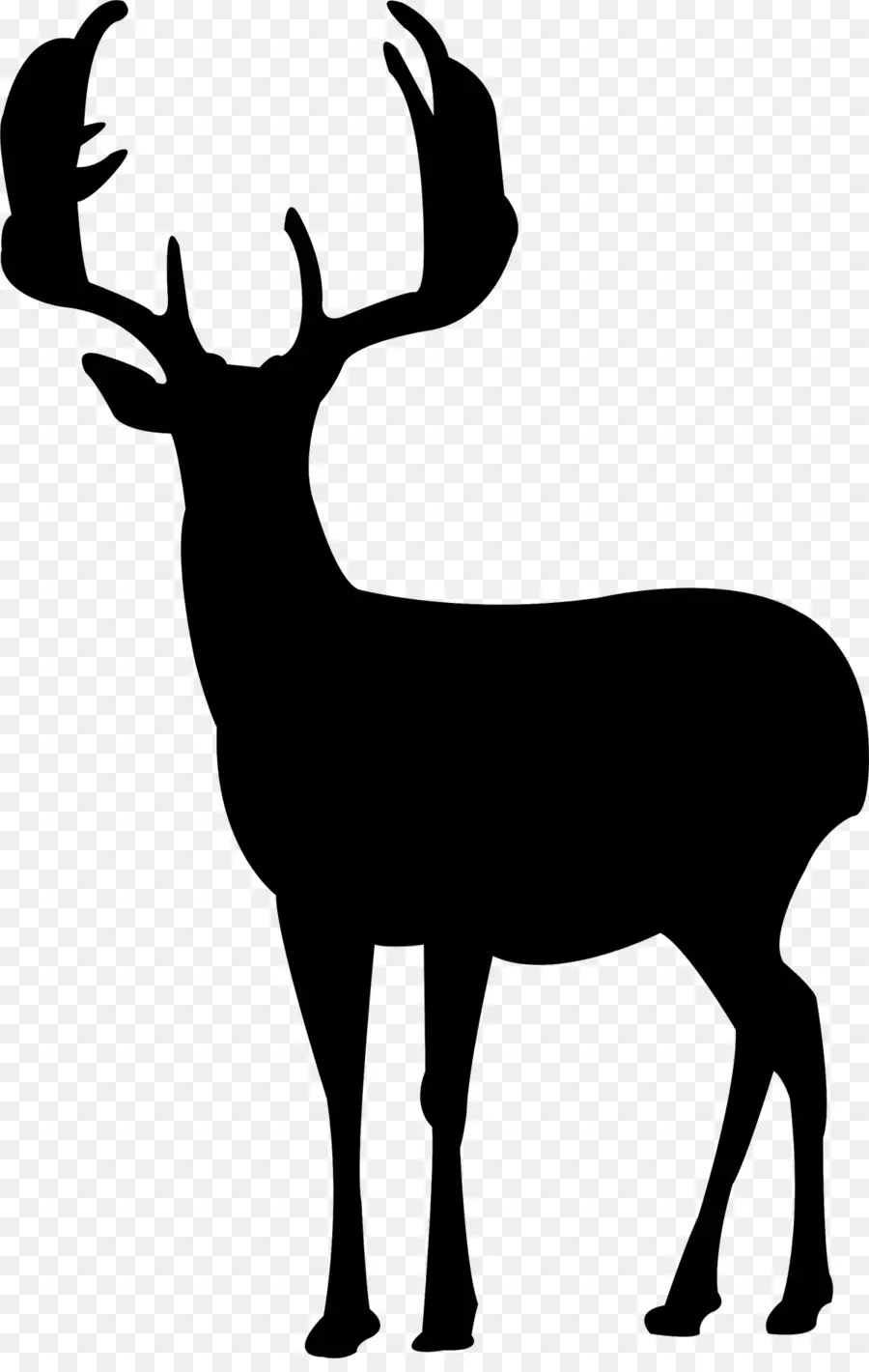 Cerf，Silhouette PNG