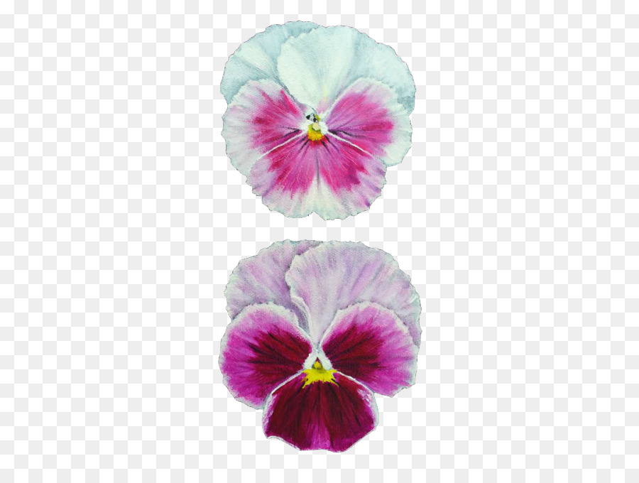 Fleurs De Pensée，Violet PNG